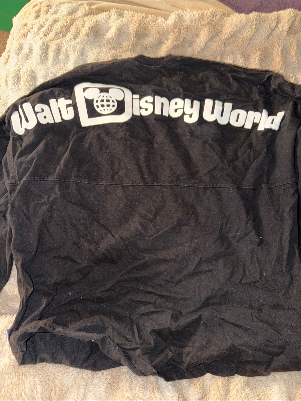 Walt Disney World Black Logo Pullover